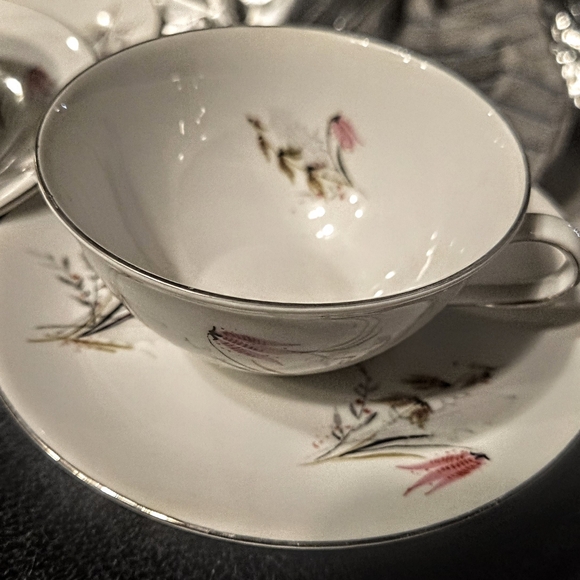 Vintage Royal Dutchess Mountain Bell Bavarian China footed cup & 6" B&B plates - Picture 5 of 8